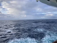 2026-01-21_08-48-37_208.webp 2026-01-21_08-48-37_208.webp