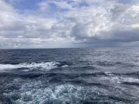 2026-01-21_14-47-59_083.webp 2026-01-21_14-47-59_083.webp