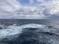 2026-01-21_14-48-02_510.webp 2026-01-21_14-48-02_510.webp