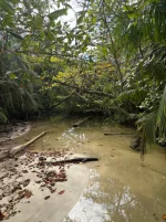 WhatsApp Image 2026-02-17 at 12.07.10 (1).webp