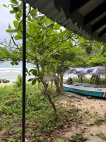 WhatsApp Image 2026-02-17 at 12.07.11 (1).webp