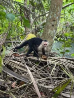 WhatsApp Image 2026-02-17 at 12.09.01 (2).webp