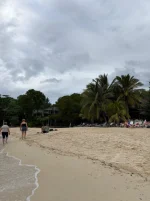 WhatsApp Image 2026-02-24 at 07.50.42 (2).webp