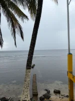 WhatsApp Image 2026-02-24 at 07.50.52 (2).webp