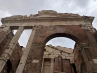 IMG_20251121_155559239_HDR.webp IMG_20251121_155559239_HDR.webp