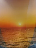 IMG_20260301_143442231.webp IMG_20260301_143442231.webp