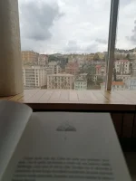 IMG_20260301_160239692_HDR.webp IMG_20260301_160239692_HDR.webp