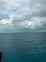 WhatsApp Image 2026-02-24 at 07.50.58 (3).webp