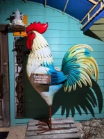 WhatsApp Image 2026-02-24 at 07.50.59.webp