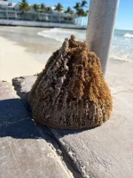 WhatsApp Image 2026-02-24 at 07.51.05 (3).webp