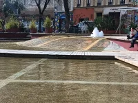 IMG_20260302_120346206.webp IMG_20260302_120346206.webp