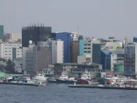 IMG_5233.webp IMG_5233.webp