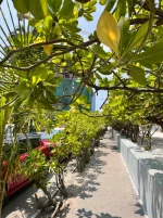 IMG_3047.webp IMG_3047.webp