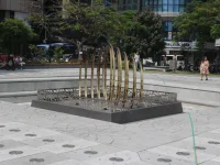 IMG_5216.webp IMG_5216.webp