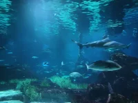 IMG_20260303_103855657.webp IMG_20260303_103855657.webp