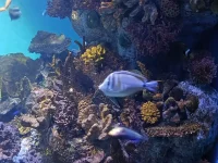 IMG_20260303_103215294.webp IMG_20260303_103215294.webp