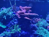 IMG_20260303_102935518_HDR.webp IMG_20260303_102935518_HDR.webp