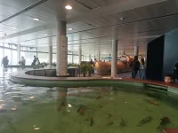 IMG_20260303_110100269_HDR.webp IMG_20260303_110100269_HDR.webp