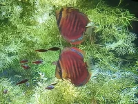 IMG_20260303_110925930.webp IMG_20260303_110925930.webp