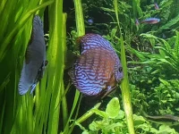 IMG_20260303_110916113.webp IMG_20260303_110916113.webp