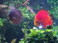 IMG_20260303_110936615.webp IMG_20260303_110936615.webp