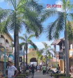 20260225_093301.webp 20260225_093301.webp