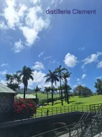 20260228_112341.webp 20260228_112341.webp