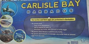 20260303_133752.webp 20260303_133752.webp