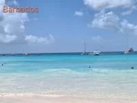 20260303_121144.webp 20260303_121144.webp