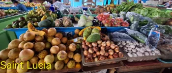 20260304_110621.webp 20260304_110621.webp