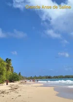 20260228_140652.webp 20260228_140652.webp