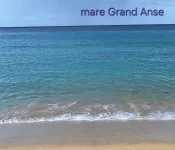 20260301_130334.webp 20260301_130334.webp