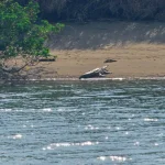 20260306_153041.webp 20260306_153041.webp