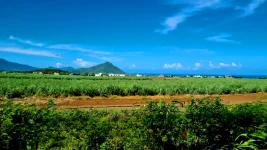 20260309_063238.webp 20260309_063238.webp