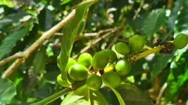 20260309_072733.webp 20260309_072733.webp