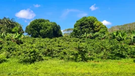 20260309_071525.webp 20260309_071525.webp