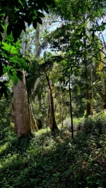 20260309_072614.webp 20260309_072614.webp