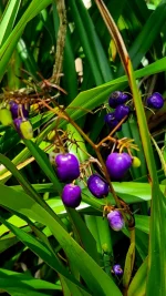 20260309_074450.webp 20260309_074450.webp