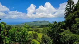 20260309_084813.webp 20260309_084813.webp