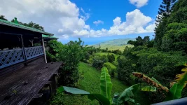 20260309_085059.webp 20260309_085059.webp