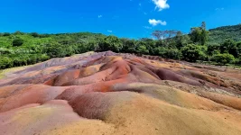 20260309_073731.webp 20260309_073731.webp