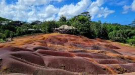 20260309_075325.webp 20260309_075325.webp