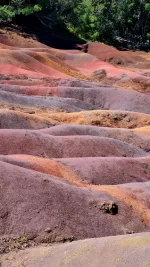 20260309_075335.webp 20260309_075335.webp