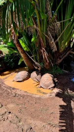 20260309_075854.webp 20260309_075854.webp