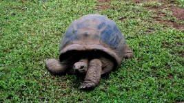 20260309_080102.webp 20260309_080102.webp