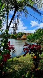 20260309_103005.webp 20260309_103005.webp