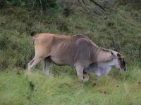 IMG_5568.webp IMG_5568.webp