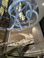 IMG_9654.webp IMG_9654.webp