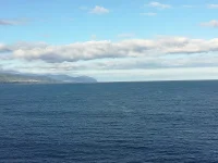 IMG-20220509-WA0041.webp IMG-20220509-WA0041.webp
