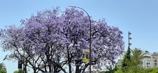 IMG-20220517-WA0046.webp